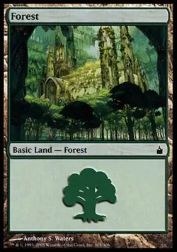Forest (305) - Foil NM, English MTG Ravnica: City of Guilds - Image 1