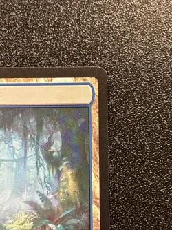 MISTY RAINFOREST 250/303 MODERN HORIZONS 2 MH2 MAGIC: THE GATHERING RARE JR - Image 3