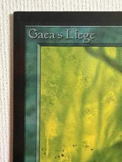 MAGIC THE GATHERING MTG BETA GAEA'S LIEGE ARTIST PROOF SIGNED DAMEON WILLICH - Image 3