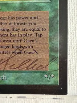 MAGIC THE GATHERING MTG BETA GAEA'S LIEGE ARTIST PROOF SIGNED DAMEON WILLICH - Image 5