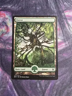 Forest (273) Battle for Zendikar Regular - Image 1