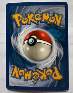 Pokemon Card-Raichu-H25/H32-Holo-NoCrystal-Skyridge-ENG - Image 2