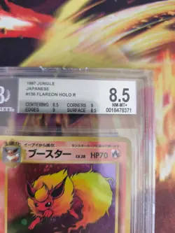 Pokemon Card Flamara Flareon Jungle Dschungel 1997 Japanese BGS Beckett 8.5 - Image 4