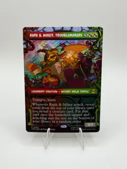 Raph & Mikey, Troublemakers (Showcase) Teenage Mutant Ninja Turtles Regular - Image 1