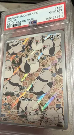 2025 POKEMON BLK EN-BLACK BOLT ILLUSTRATION RARE #148 PIDOVE PSA 10 - Image 3