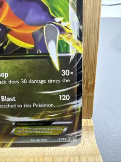 Garchomp EX XY09 Holo XY Promo Pokemon Card - Image 4