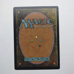 Evolving Door | MTG | SNC | 429 | BORDERLESS | Same Day Shipping! - Image 2