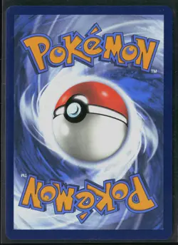 Bidoof GG29/GG70 Crown Zenith Galarian Gallery Trainer Gallery Rare Holo Pokemon - Image 2
