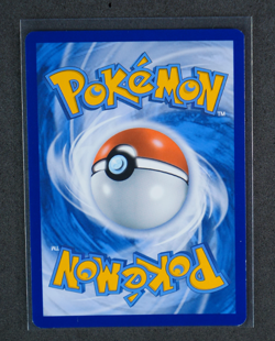 Cyndaquil Holo Promo #SWSH221 SWSH: Sword & Shield Promo Cards 2019 NM - Image 2