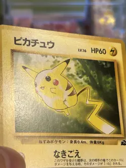 Pokemon Card - Pikachu No. 025 Bulbasaur Deck Japanese - Image 3