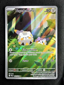 Togedemaru 104/094 (NM) - Phantasmal Flames - Illustration Rare - Image 1