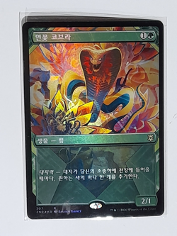 (Showcase Foil) [NM] MTG Korean, Zendikar Rising, 1 x Lotus Cobra - Image 1