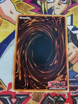 Dark Paladin ledd-ena34 1st Edition (NM) Common Yu-Gi-Oh! - Image 2