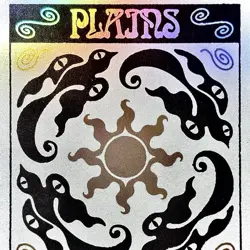 Plains (0888) - RAINBOW FOIL - MTG - Secret Lair Drop Series - 0888 - RARE ~ NM - Image 1