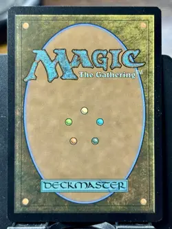 Plains (0888) - RAINBOW FOIL - MTG - Secret Lair Drop Series - 0888 - RARE ~ NM - Image 4