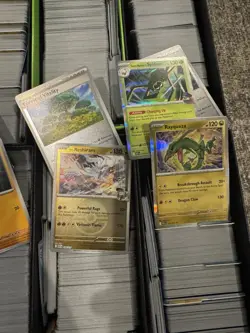 NM Pokemon Card Lot 3000 - 3500 Bulk Ascended Heroes Holos/Reverse/Non Holos - Image 3