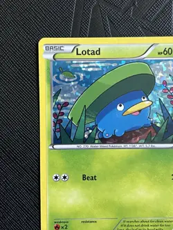Pokemon TCG Lotad 002/012 McDonald's 2015 Promo Holo (English) - NM - Image 3
