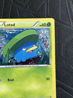 Pokemon TCG Lotad 002/012 McDonald's 2015 Promo Holo (English) - NM - Image 4