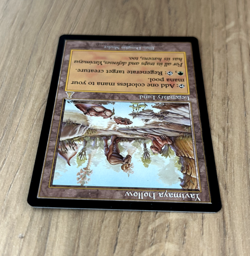 Yavimaya Hollow Urza's Destiny Regular Near Mint NM - Image 4