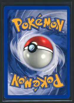 Pokemon TCG Pidgeot 2/18 Southern Islands 2001 Promo WOTC LP+ - Image 2