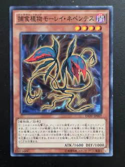 Yu-Gi-Oh! Cards Predaplant Moray Nepenthes Japanese Normal - Image 1