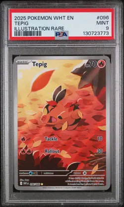 Tepig Illustration Rare Pokemon Wht En-White Flare 096/086 PSA 9 - Image 1