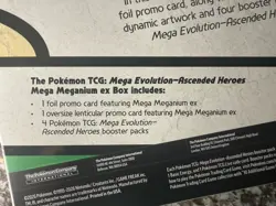 Pokemon Mega Evolution Ascended Heroes Feraligatr & Meganium Ex 2 Box Lot - Image 5