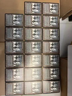 Snow Covered Swamp - Ice Age - Land - (20 cards) MTG Cards LP/MP - Image 1