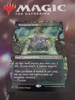 Mtg. Overgrown Tomb. Foil Borderless. Lorwyn Eclipsed. Pack Fresh - Image 1