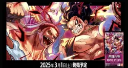 ONE PIECE Case OP11 OP-11 OP 11 A Fist of Divine JP ver & 10 x 3rd Anniv Promo - Image 4