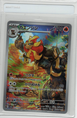 Pokemon Card Japanese - Pyroar AR 077/073 SV1a Triplet Beat - Image 1