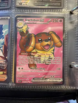 Dachsbun EX 160/142 - S&V Stellar Crown - Ultra Rare Full Art - Pokemon TCG NM - Image 2