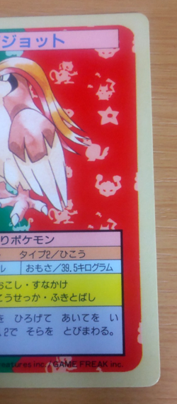 Pokemon Card Japanese Top sun Pidgeot 1995 vintage from Japan - Image 2