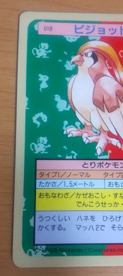 Pokemon Card Japanese Top sun Pidgeot 1995 vintage from Japan - Image 3