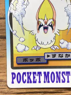 Pokemon Carddass Card Pidgey File No.16 Bandai Pocket Monsters 1997 Japan - Image 5