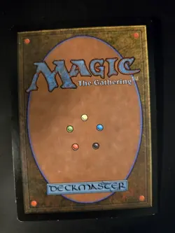 Hibernation NM Urza's Saga MTG FREE SHIPPING - Image 2