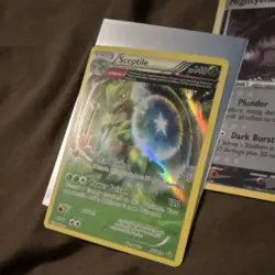 Pokemon TCG Mixed Card Lot Sceptile Mightyena Popplio Holo and others lot!! - Image 2