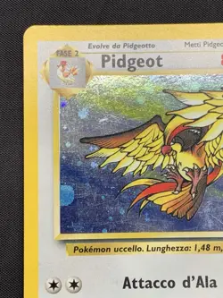 Pokemon Card - Pidgeot Jungle 8/64 Holo Rare Italian - Image 2