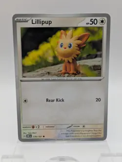 Lillipup 170/197 Common Obsidian Flames Yuki Mori Pokemon NM - Image 1