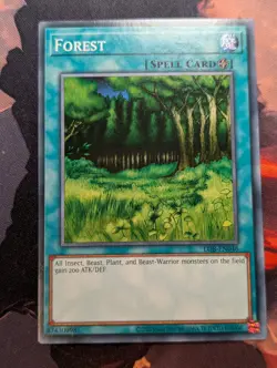 Forest - LOB-EN046 - Common - 25th Anniversary - YuGiOh - VLP - Image 1
