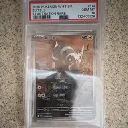 Pokemon 2025 SV: White Flare Blitzle 114/086 Illustration Rare Holo PSA 10 - Image 1