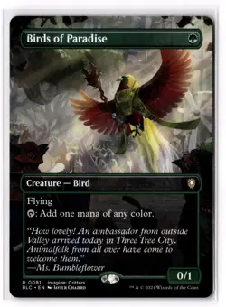 Birds of Paradise (Borderless) 81 Commander: Bloomburrow NM - Image 1