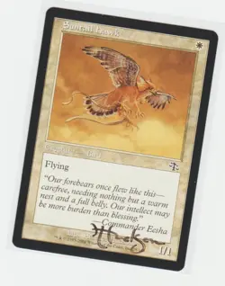 Magic the Gathering ~ Suntail Hawk ~ M/NM ~ Judgment ~ Signed by Artist #2 - Image 1