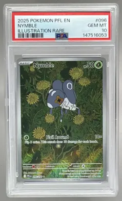 6053 Nymble 2025 Pokemon Phantasmal Flames #096 Illustration Rare PSA 10 - Image 1