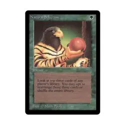 WOTC MtG Beta Natural Selection (R) Fair - Image 1