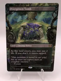 Magic the Gathering - Overgrown Tomb - Borderless Regular - Lorwyn Eclipsed NM/M - Image 1
