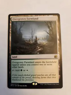 Overgrown Farmland Rare Land #265 - Image 1