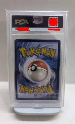 Terapagos Ex 170/142 Stellar Crown SIR Pokemon Card PSA 10 SV07 GEM MINT - Image 2