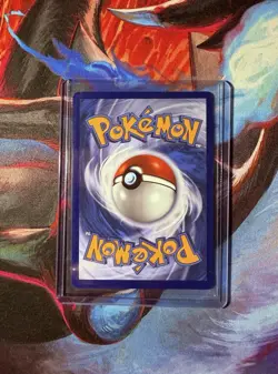 *MINT* Pokemon Mega Zygarde EX Promo Card+Jumbo PROMO Card+Sticker Set - Image 4