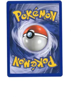 Pokemon 1st Edition Base Set 3 Card Lot French NM/LP Vintage Water Energy - Image 2